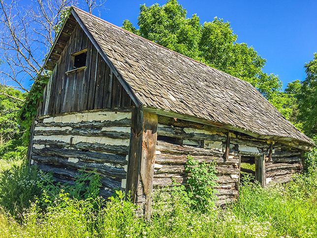 Ice Age Trail Springfield Hill Segment -1850's cabin