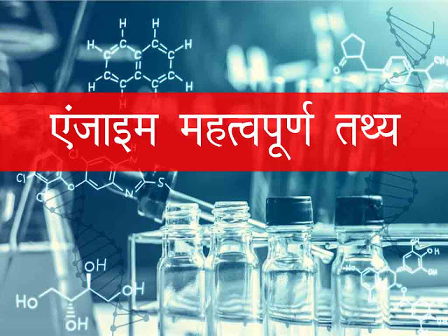 एन्जाइम से संबन्धित महत्वपूर्ण तथ्य | Enzyme Fact in Hindi