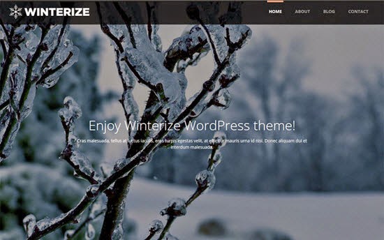 Winterize WordPress Theme