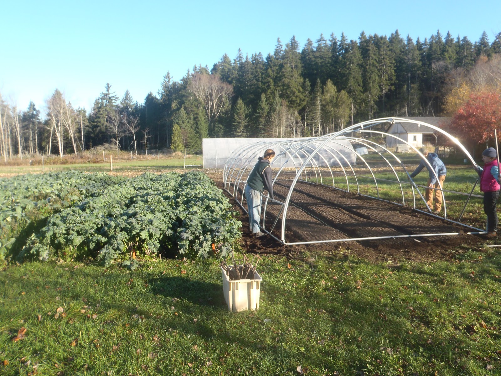 conduit greenhouse plans