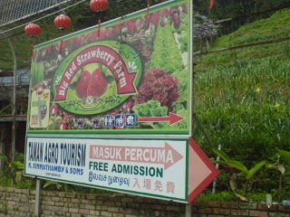 Amazing Holiday Cameron Highlands Malaysia