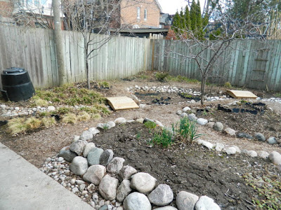 Toronto Riverdale spring garden clean up after by Paul Jung Gardening Services