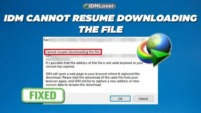 Fix IDM Cannot resume downloading the file Issue