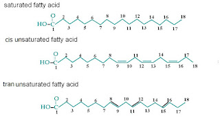   trans fat คือ, trans fat กับ saturated fat, no trans fat แปลว่า, ไขมันทรานส์ คืออะไร มีในอาหารอะไรบ้าง อันตรายของไขมันทรานส์คือ, trans fat free คือ, ไขมันทรานส์ pdf, ไขมันcis, อาหารที่ไม่มีไขมันทรานส์, 10 อาหาร ที่ มี ไขมัน ท ราน ส์ สูง