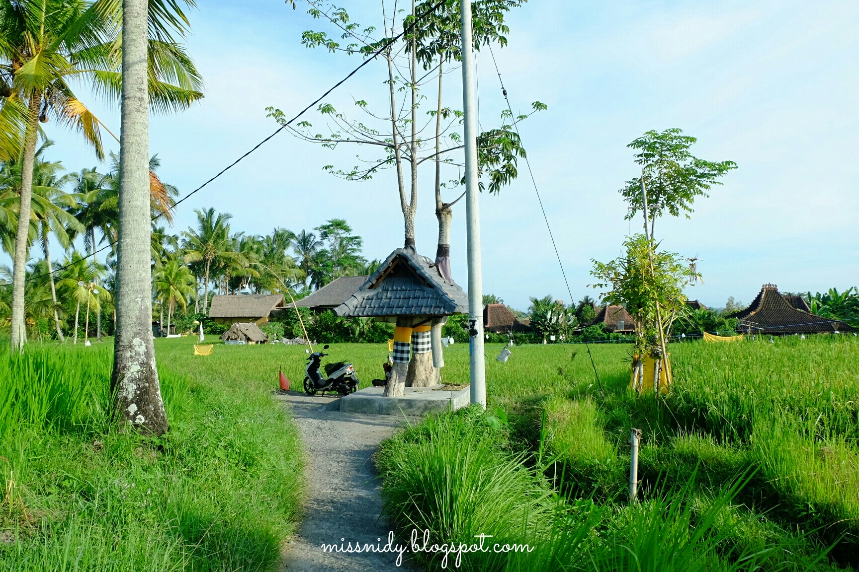 lokasi cafe pomegranate ubud