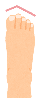 つま先の形のイラスト（ギリシャ型）