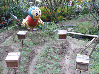 lebah besar honey bee farm Aktiviti Best Jelajah Cameron Highlands