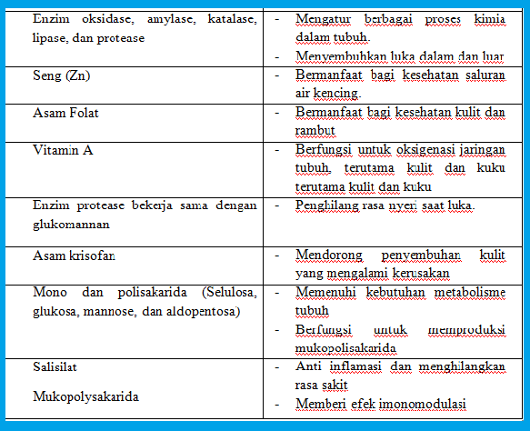 30 Manfaat lidah buaya buat kesehatan & kecantikan