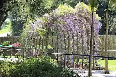 Beijing-China-National-Botanical-Garden