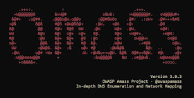 OWASP Amass Subdomain Scanner