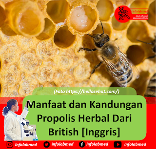 Manfaat dan Kandungan Propolis Herbal Dari British [Inggris]