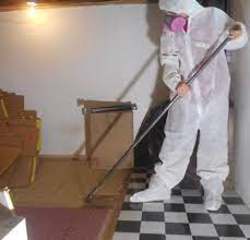 Asbestos Removal Service Lake Orion