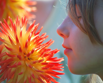 photographing flowers