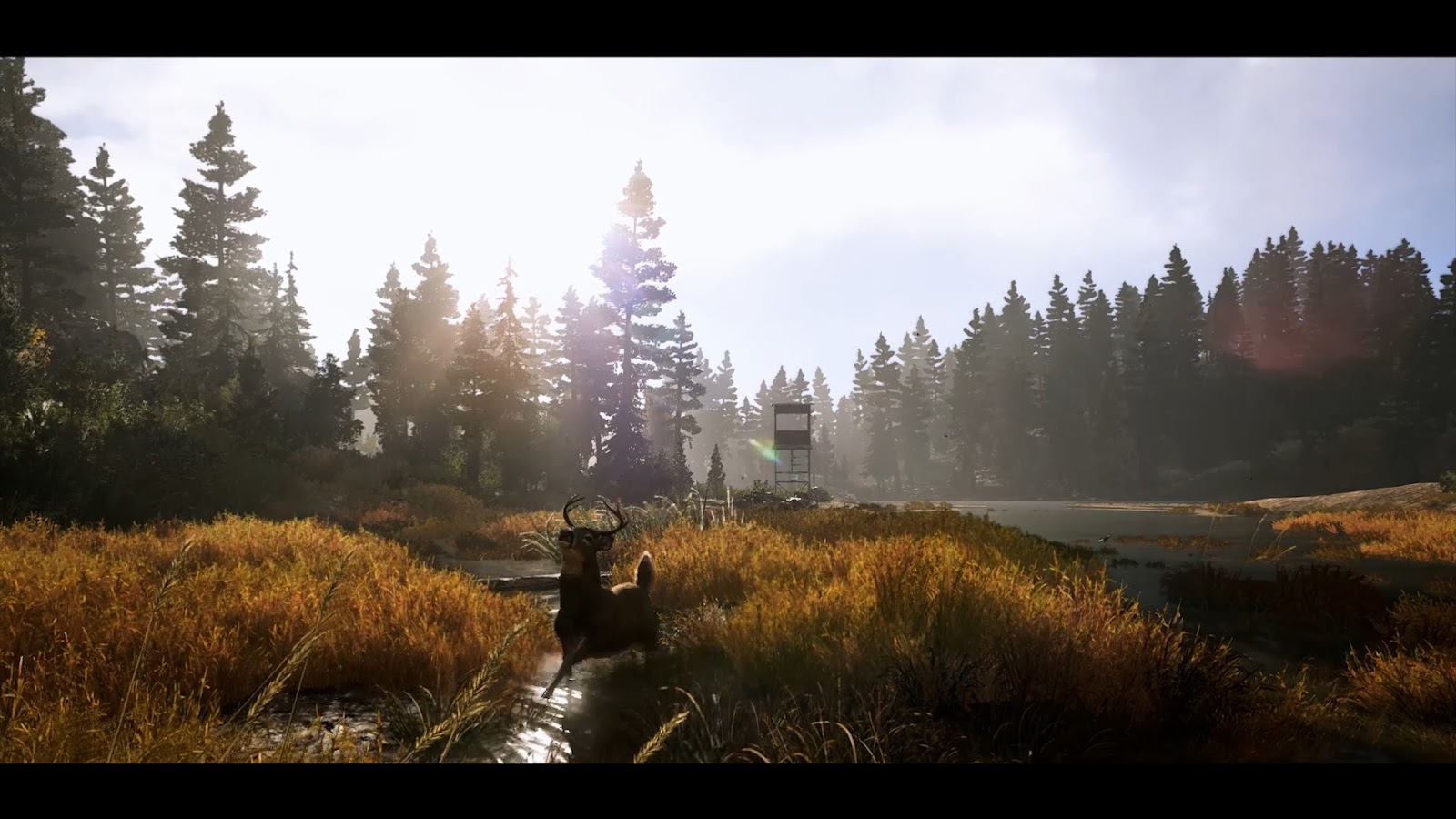 Far Cry 5 Ultra Realistic Graphics Mod Fc5 Graphics Mod Ktmxhancer