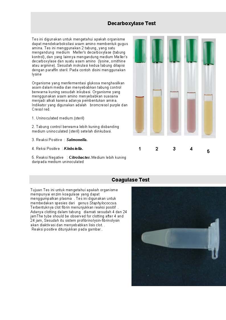 MIKROBIOLOGI UNTUK TEHNISI KESEHATAN: UJI BIOKIMIA