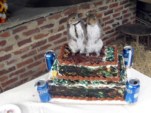 These squirrels would be the wedding cake topper Nope I'm not kidding