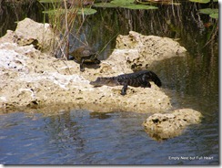 2012_0327SpringTrainingTrip0019