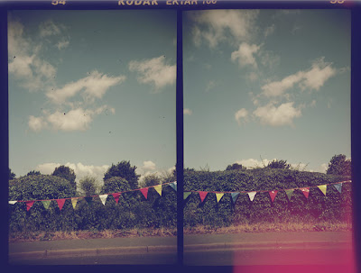 Bunting. Photograph by Tim Irving