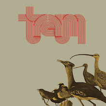 El colectivo de vanguardia italiano Traum presenta su álbum debut homónimo