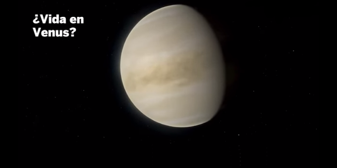 Hallados posibles indicios de vida en Venus