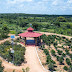 Dulapally Prasanthi Vanam