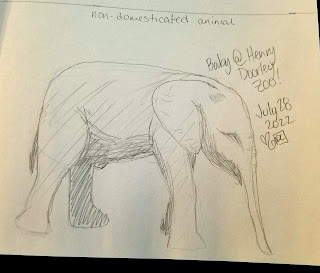 A rough pencil sketch of a young elephant.