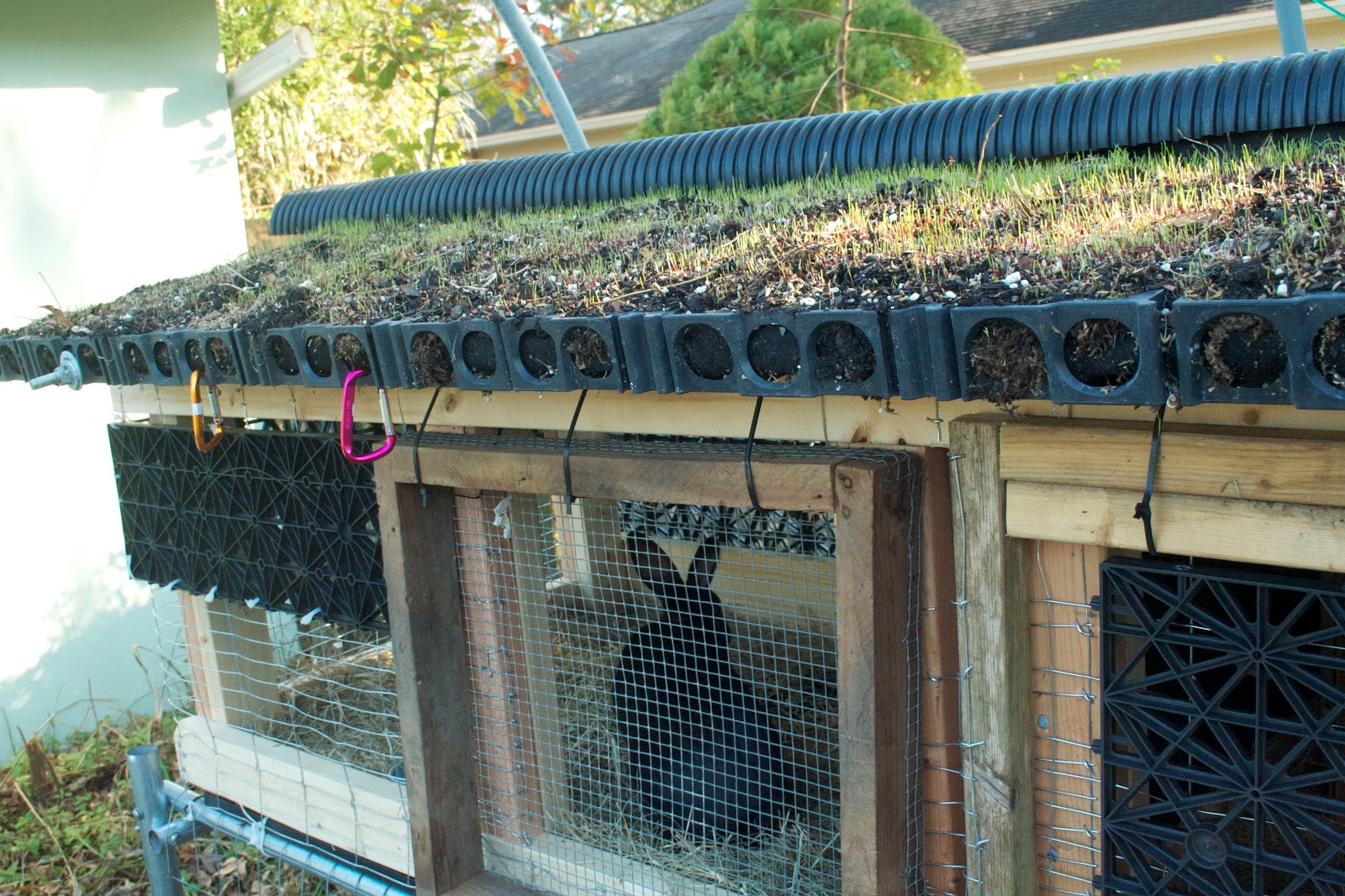 DIY Outdoor Rabbit Hutch