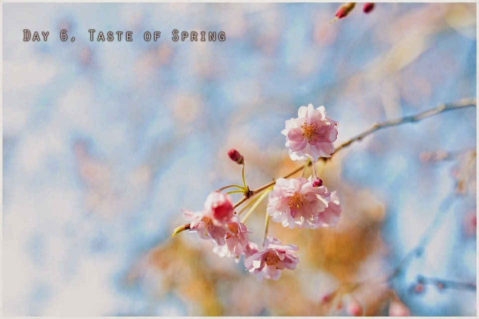 6 taste of spring