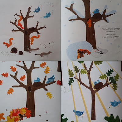 petit arbre veut grandir, un livre pour enfant sur la nature et les saisons, bienveillance empathie jeunesse, editions Circonflexe, de Nancy Guilbert et Coralie Saudo