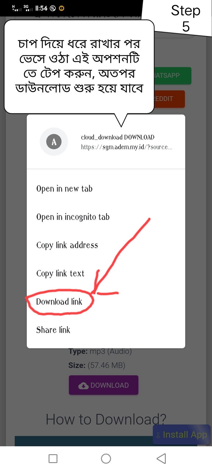 How to download Any Video