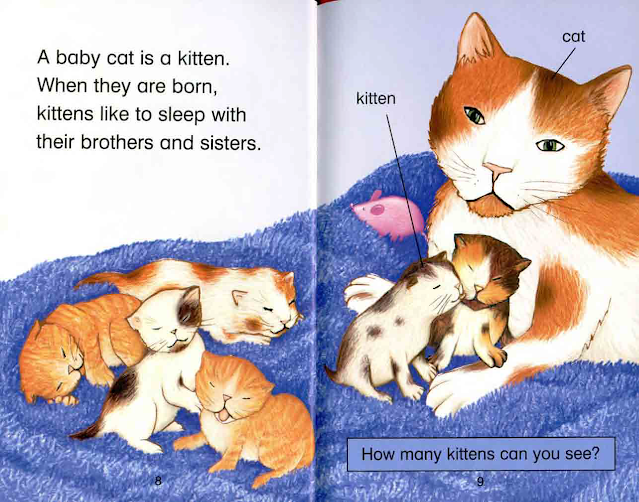 Kid Story: Baby Animals