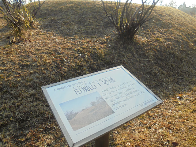 この丘が日焼山地区の遺跡