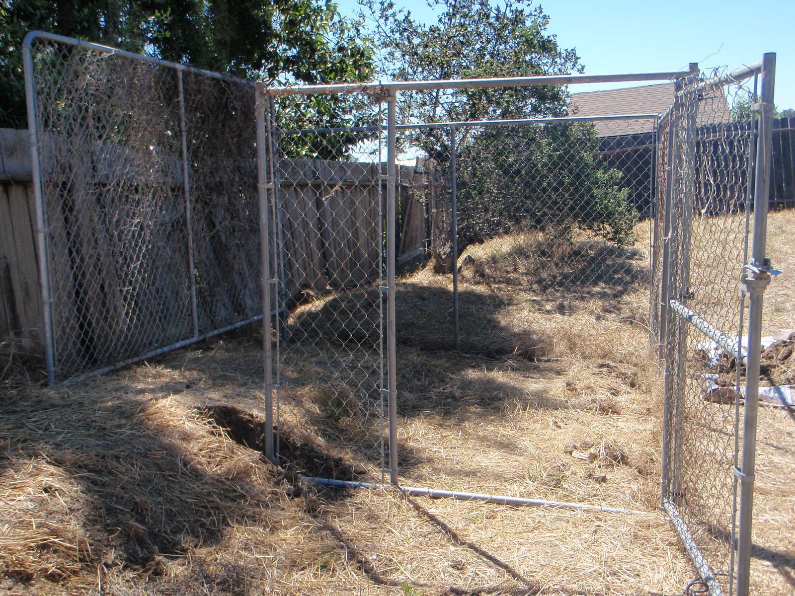 Step 6: Set up chicken yard by using a dog kennel the previous owners ...