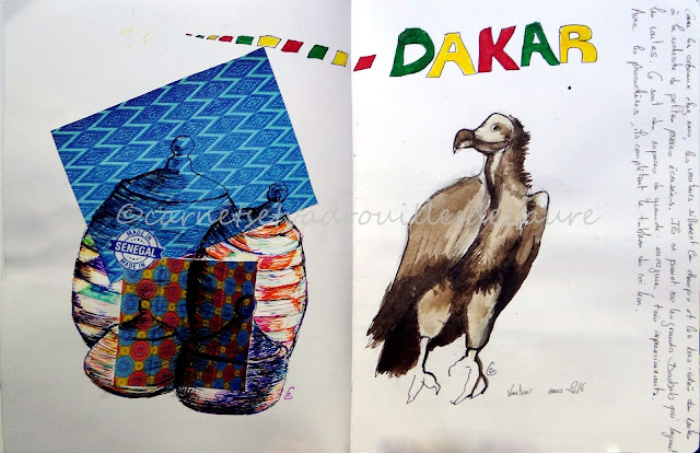 carnet-de-voyage-Senegal-vautour-broux-de-noix-carnetsetvadrouillesdelaure
