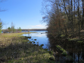 Hodenpyl Dam Pond
