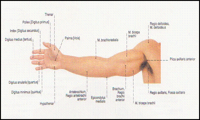 clip_image002