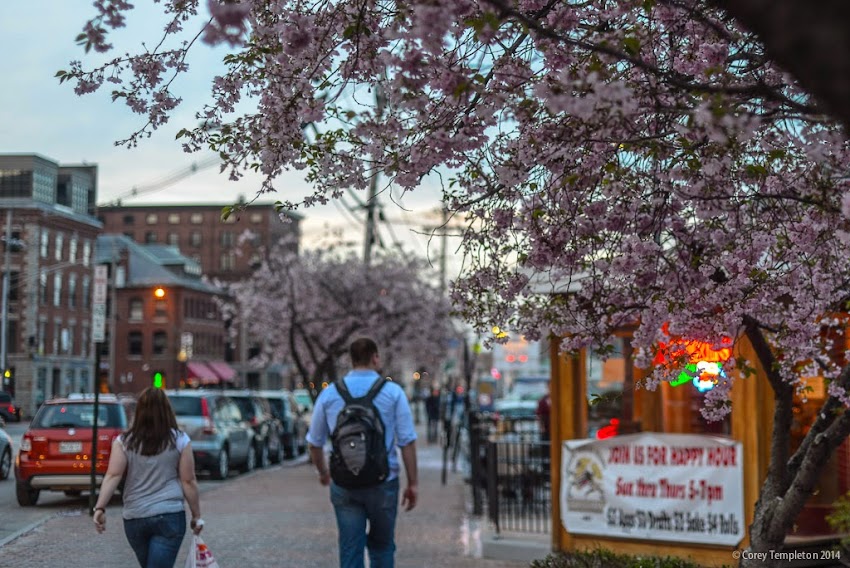 Commercial Street Portland Maine Old Port Springtime May 2014 Photo by Corey Templeton