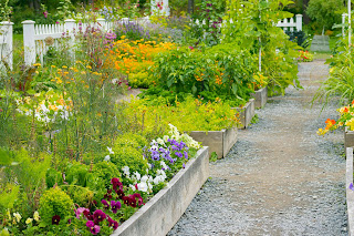 management process of a flower garden