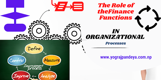 The Role of the Finance Function in Organizational Processes