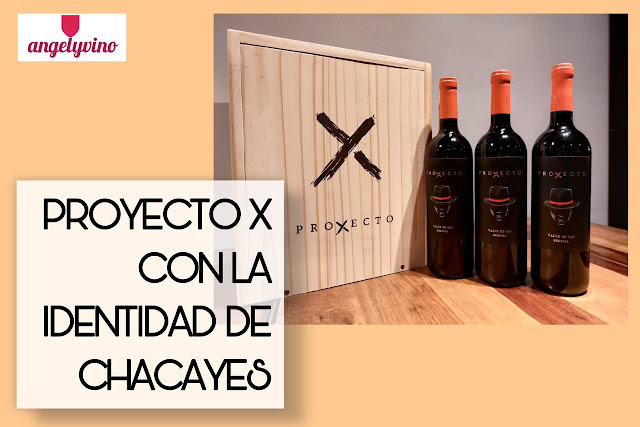 Nota en blog El Ángel del Vino