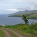 View album