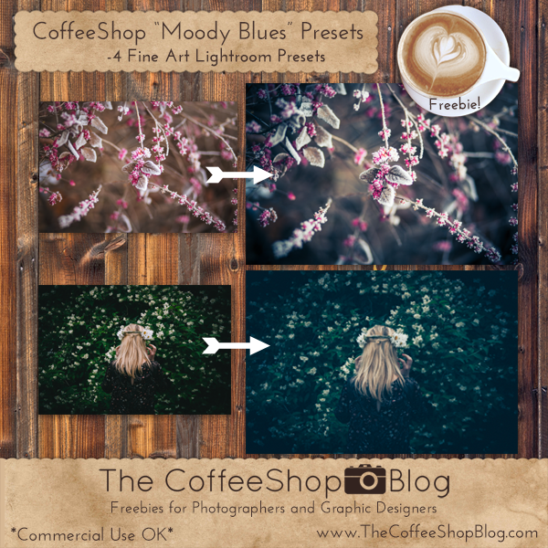 The CoffeeShop Blog: CoffeeShop "Moody Blues" Lightroom ...