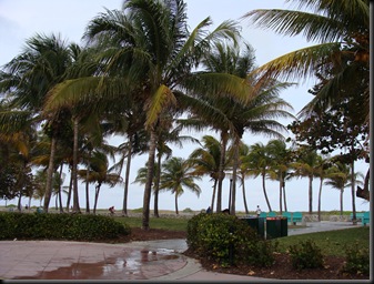 DSC04485