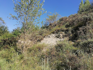 Zona de yesos junto al río, Castrillo del Val, Burgos