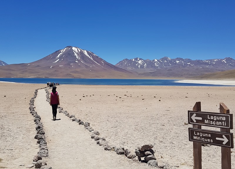 Piedras Rojas, Lagunas Altiplânicas e Salar do Atacama