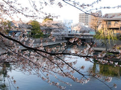 Ogaki in the spring