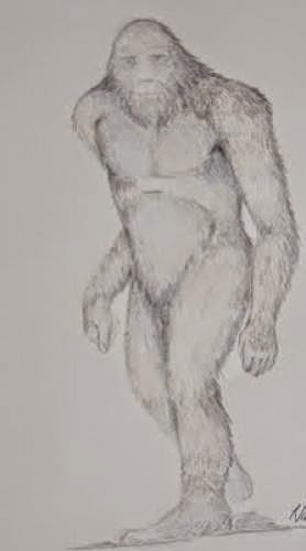 New Harvey Pratt Sketches And C2c Interview