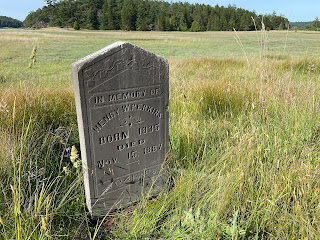 A tombstone on the Henry Island preserve.