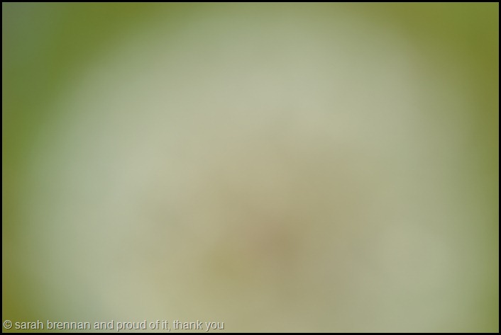 DSC_0123 (5)