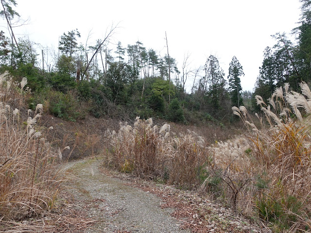 砂防堰堤（砂防ダム）の奥の谷間の風景